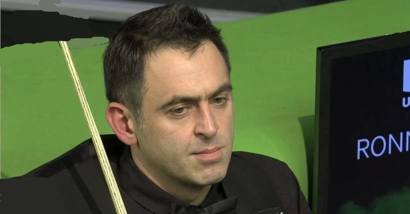 他们展示的 他们展示的