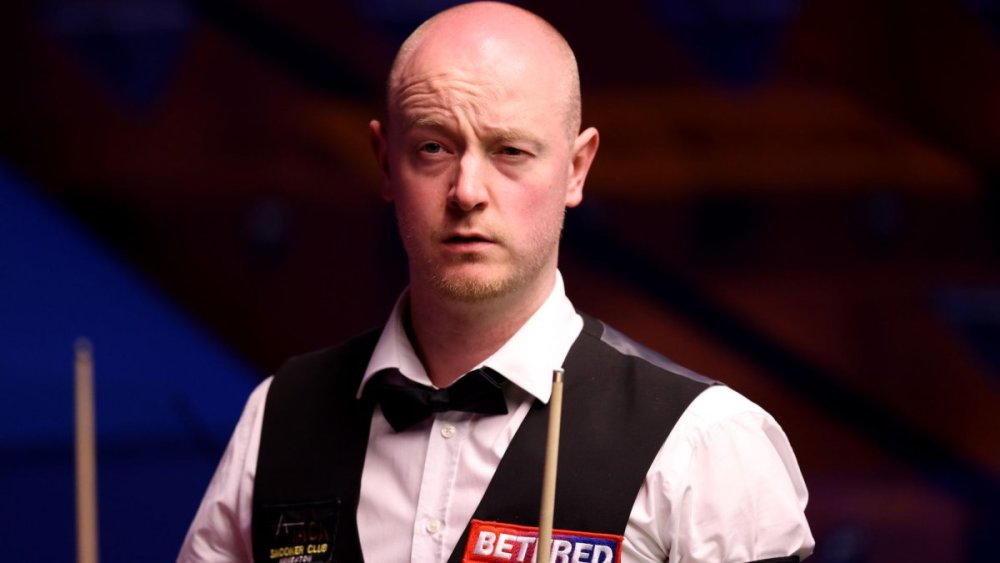 供了一条美 供了一条美